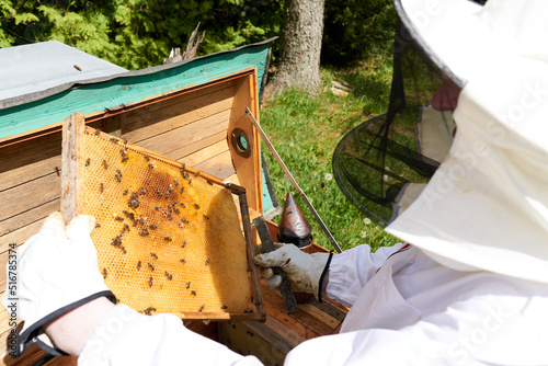 protected beekeeper checking the honey production of a hive of bees