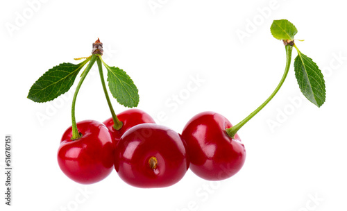 Cherry isolated on white background. Red ripe berry of sweet cherry. Clipping path.