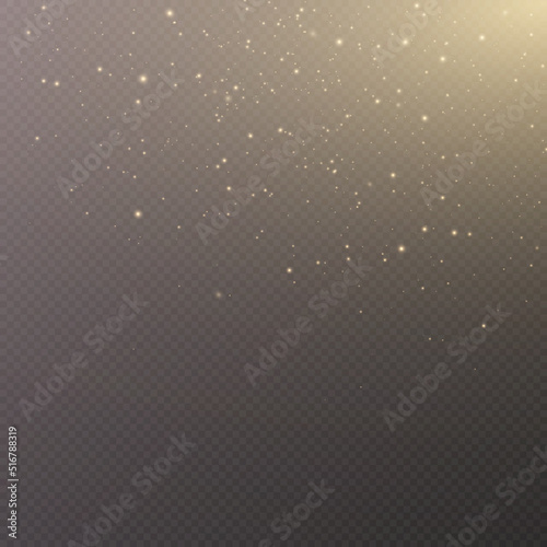 Shiny magic dust particles. Sparkling Glittering Dust Particles. Christmas dust. light effect.Vector