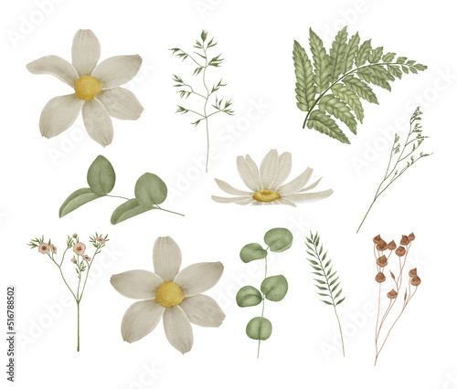 Watercolor rustic wild flowers and daisy chamomiles greenery clipart