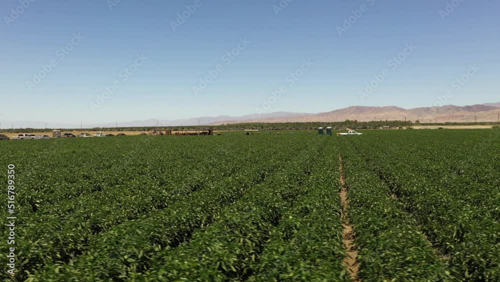 Motion video of Palm Springs, California, near Los Angeles, with mountains in the distance. Motion video of Palm Springs, California, near Los Angeles, with mountains in the distance.