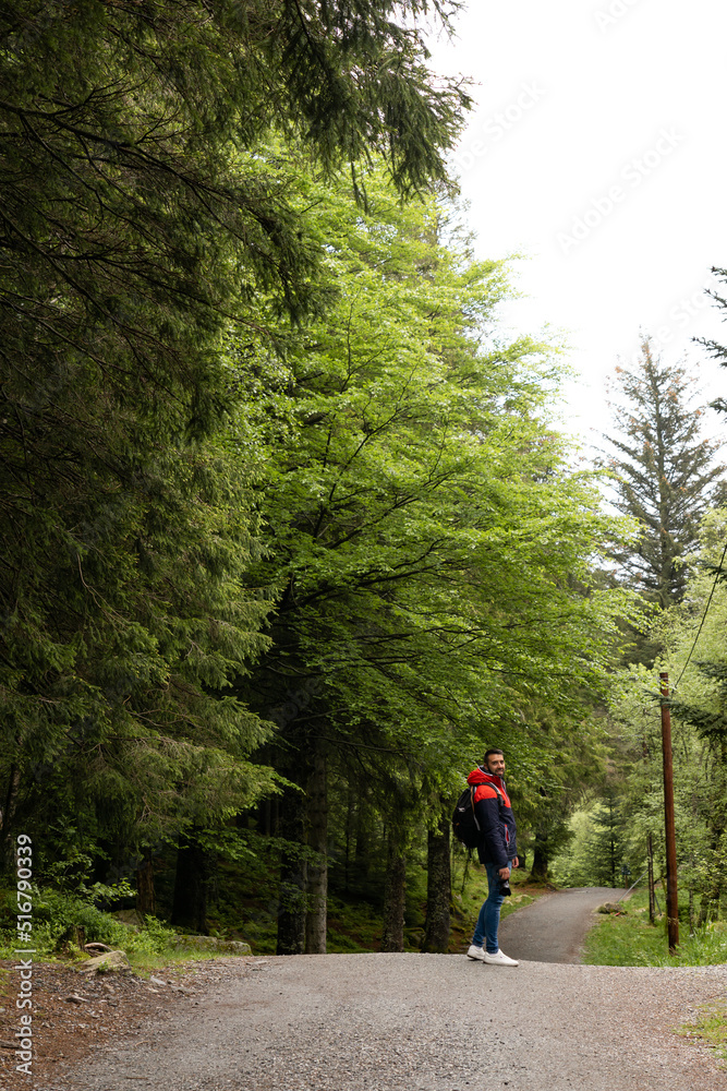 Fototapeta premium Young man walking among trees in Norway