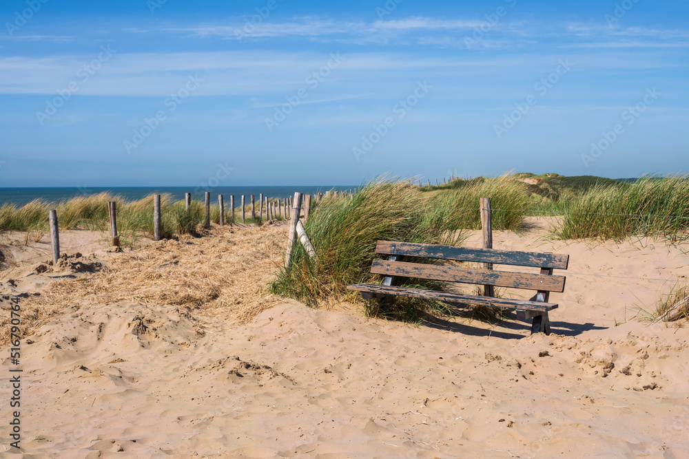 A bench in the North Holland dune reserve near Egmond aan Zee/Netherlands