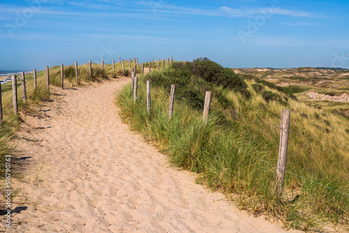 View along a footpath on the dunes in the North Holland dune reserve near Egmond aan Zee Netherlands