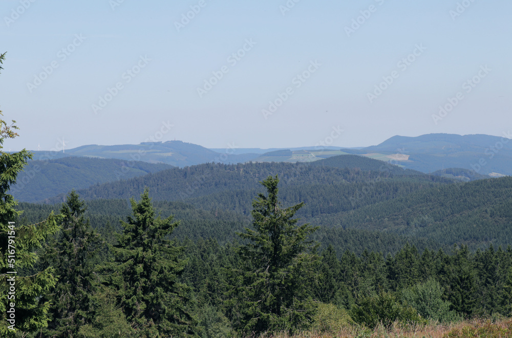 Mountain landscape with trees in the foreground with misty hills in the background