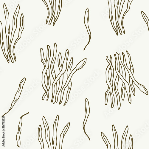 Hand drawn cordyceps mushroom seamless pattern photo