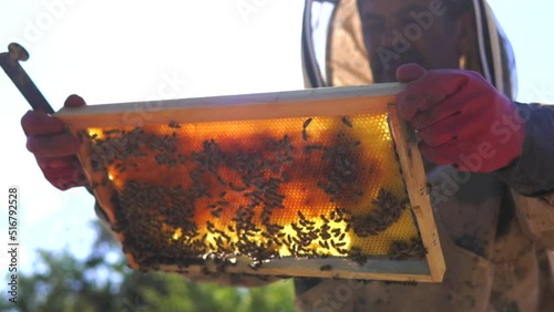 beekeeping and honeybee and agriculture and honey and honeyhive