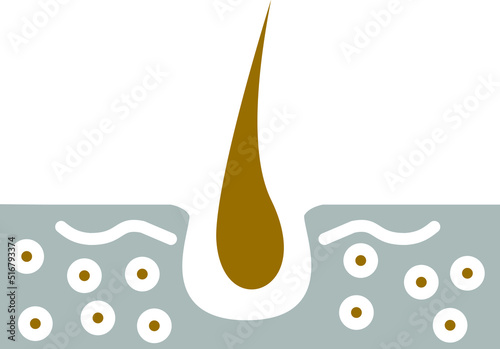 Skin Hair Icon Style