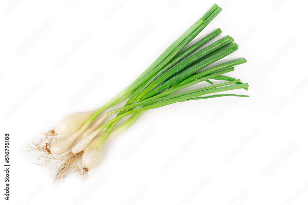 Young green onion set isolated on white Young green onion set isolated on white