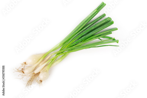 Young green onion set isolated on white