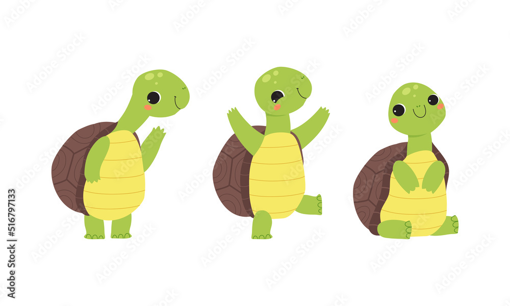 Fototapeta premium Cute turtle baby animals set. Funny tortoise reptilian animal character standing and sitting cartoon vector illustration