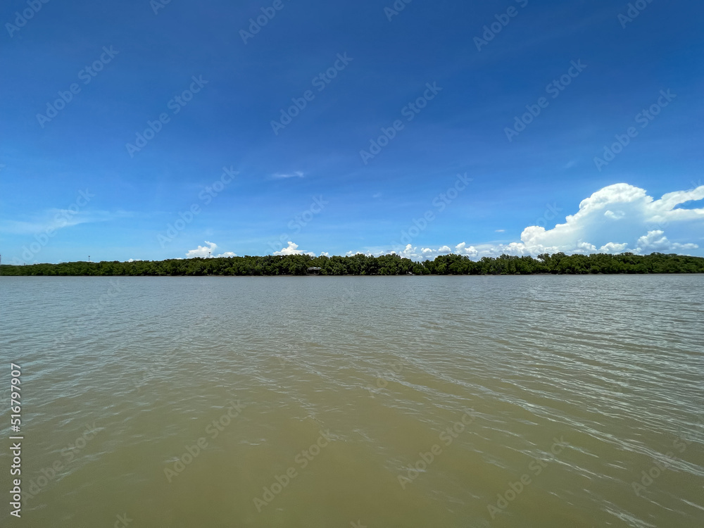 Bang Pakong River near the district Mangrove forest, wallpaper.