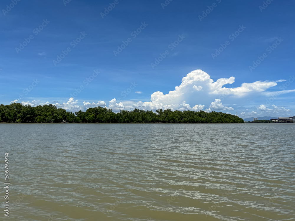 Bang Pakong River near the district Mangrove forest, wallpaper.