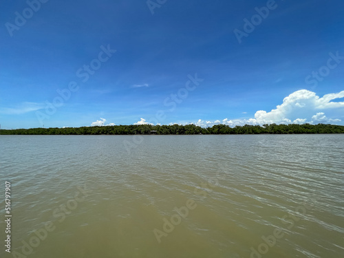 Bang Pakong River near the district Mangrove forest  wallpaper.