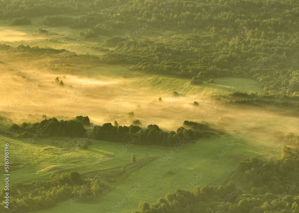 Foggy sunrise. Nature at dawn in fog, aerial view. Morning mist haze in agricultural field. Sunny morning scene in misty forest valley. Misty landscape. Sunny foggy hills on sundown. Dawn in hillside.