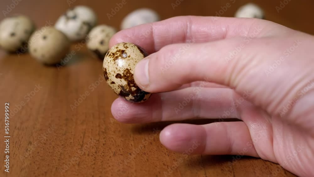 Female Hand Holds One Quail egg on a Background of a Table with Quail Eggs. Close-up. Natural, nutritious, dietary organic eggs. Small bright, colorful, shiny, spotted eggs. Protein. Healthy food.