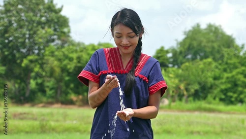 Asian girl in traditional dress stands in a field and pour a rice from hand to hand photo