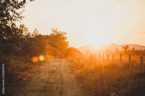 Sunset view from the country road