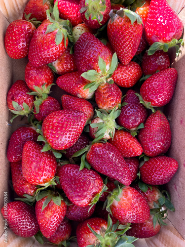 A box with huge amount of strawberries.