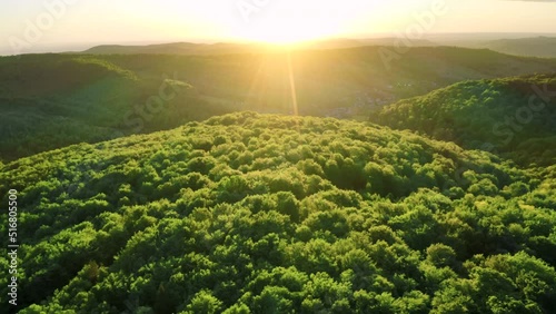 Flight against sun. Mountain hills fresh green lush trees forest at sunset.