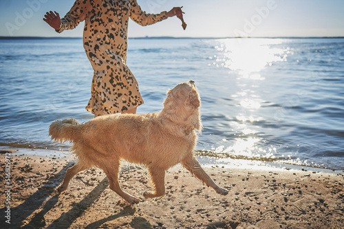 Obraz na płótnie golden retriever dog with his owner by the sea at sunset w salonie