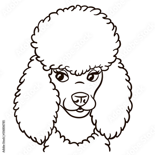 Poodle dog cartoon illustration. Cute animal print for t-shirts, mugs, totes, stickers, nursery wall arts, greeting cards, etc.
