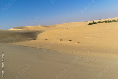 Awesome Desert Background Landscape at Siwa  Egypt