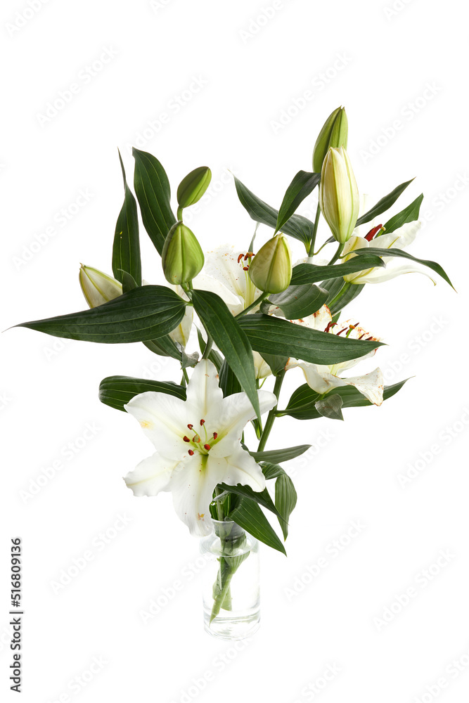 Bouquet of light lilies isolated on white background.