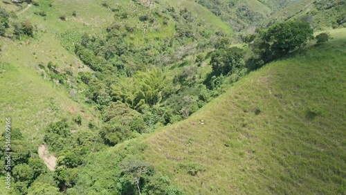 canyon tree landscape
