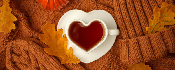 Autumn Still Life: Tea and oak leaves, knitted warming scarf or plaid on a wooden table. Fall season concept, beverage for resting time, autumn weekend mood, copy space, banner