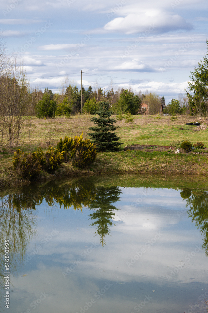 Obraz premium Scenic landscape. Beautiful nature. Trees and bushes near pond. Reflection in water.