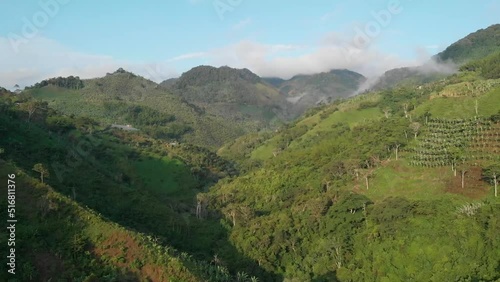 crops in the mountain landscape