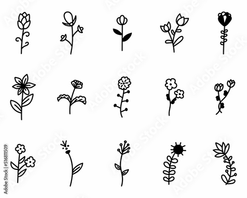 Set of doodle flowers with leaves decorative elements. Floral, botanical vector illustration design, isolated hand drawn black elements.