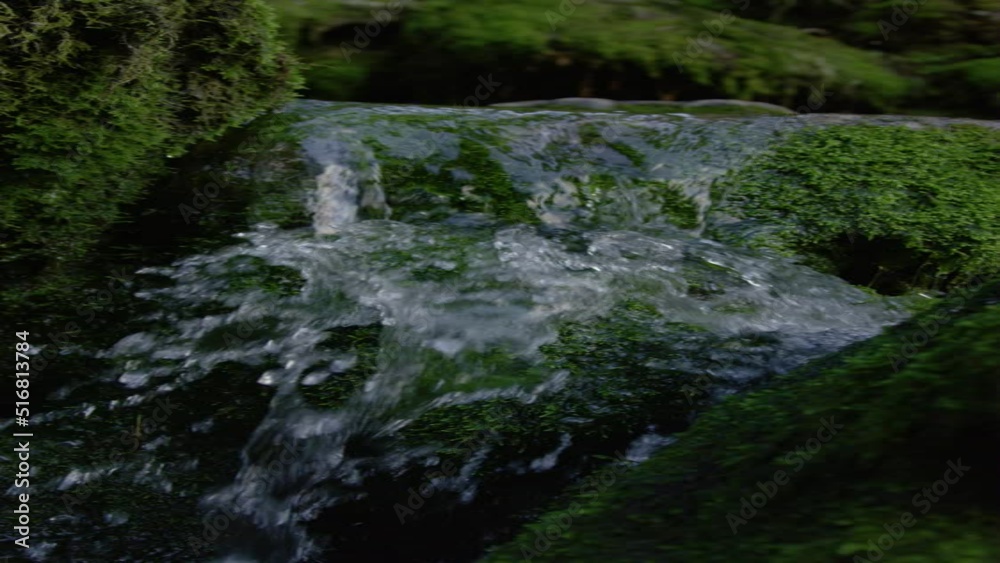 SLOW MOTION, VERTICAL, CLOSE UP: Shimmering crystal clear river water flows over the mossy rocks in the heart of a gloomy forest in Slovenia. Detailed shot of glassy stream coursing through woods. SLOW MOTION, VERTICAL, CLOSE UP: Shimmering crystal clear river water flows over the mossy rocks in the heart of a gloomy forest in Slovenia. Detailed shot of glassy stream coursing through woods.