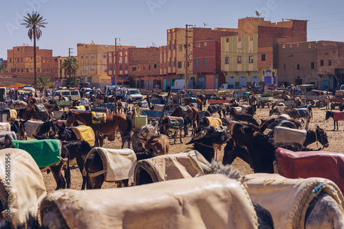 DONKEY PARKING photo