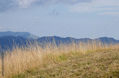 Landscape of the Ligurian Apennines in the area of       the Antola Park