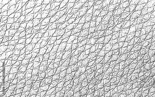 leather texture vector illustration design 