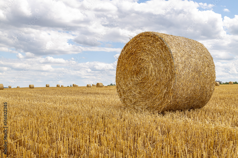 Closeup of a Yellow Round Straw Bale background. Copy space fro your text.
