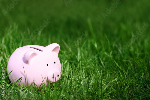 .Pink Piggy bank on green grass in summer, copy space. World crisis concept