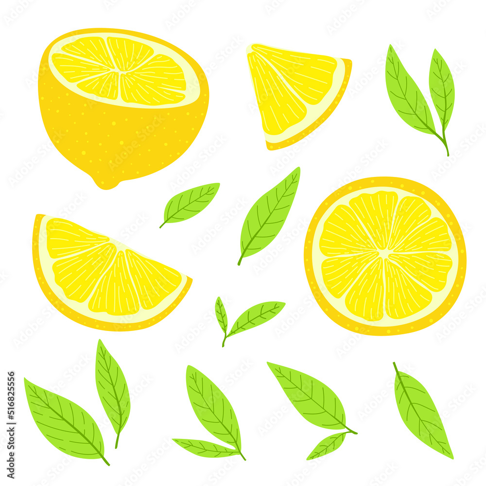 lemon slices with leaves isolated on white lemon slices with leaves isolated on white