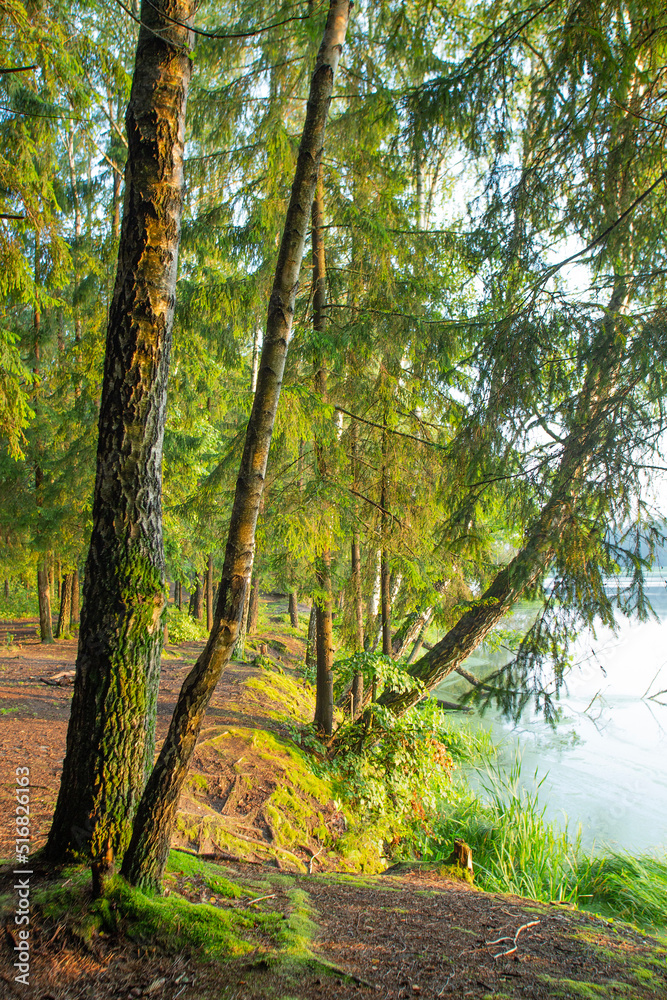 Naklejka premium Sunrise on the lake