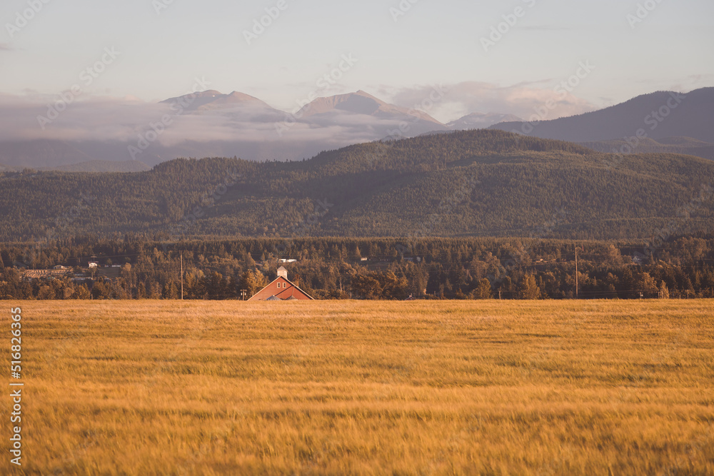 Golden Wheat Field at Sunset with Red Barn and Mountains Golden Wheat Field at Sunset with Red Barn and Mountains