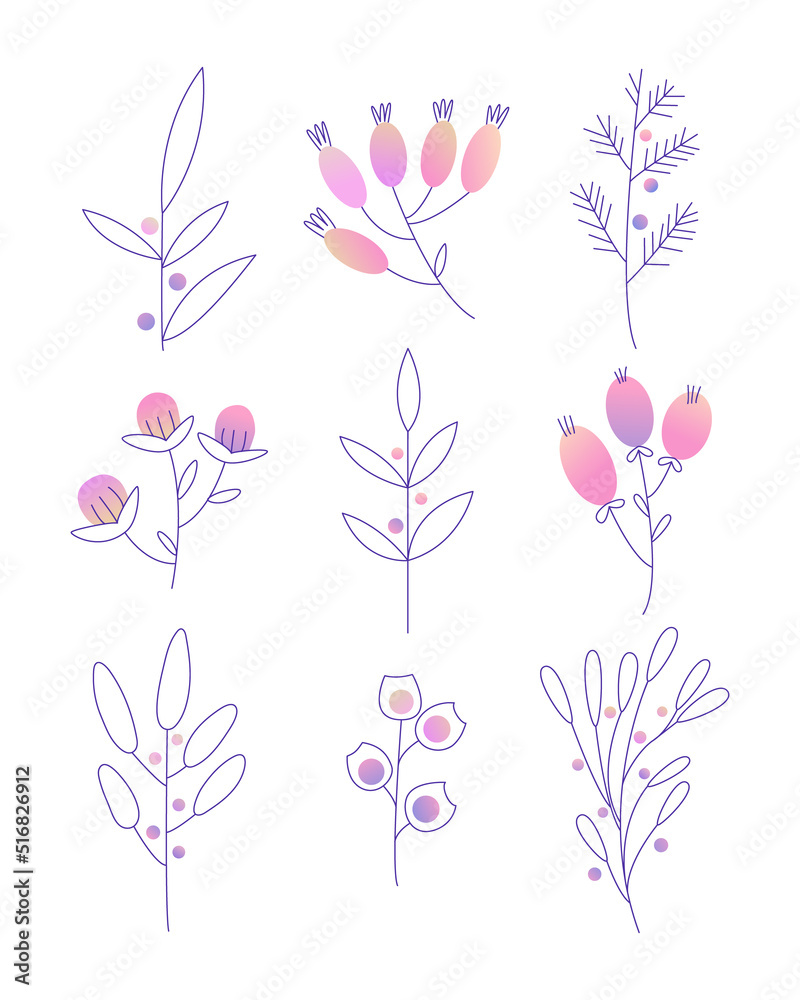 Vector branches, leaves and berries. Linear set with gradient