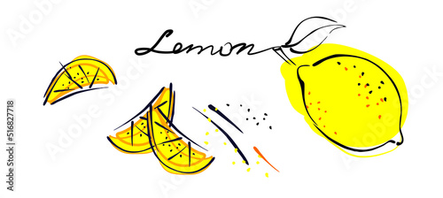 Vector linear pattern with lemons with a black outline on a white background. Template for packaging, stationery, gifts, textiles, clothing