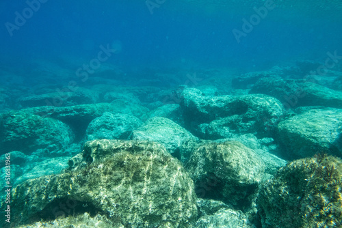 Unterwasser - unter der Wasseroberfl  che - Unterwasserwelt - Korallen - Algen