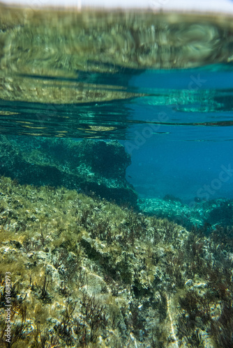 Unterwasser - unter der Wasseroberfläche - Unterwasserwelt - Korallen - Algen © Lukas Köhler