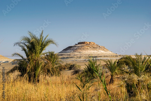 Awesome mountains and palm-trees in the desert at Siwa oasis Egypt 