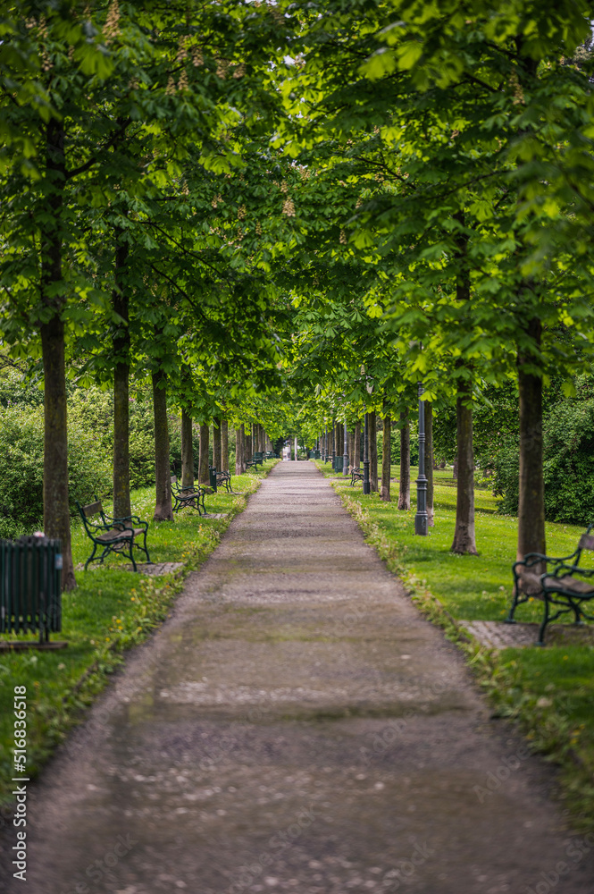 alley in the park