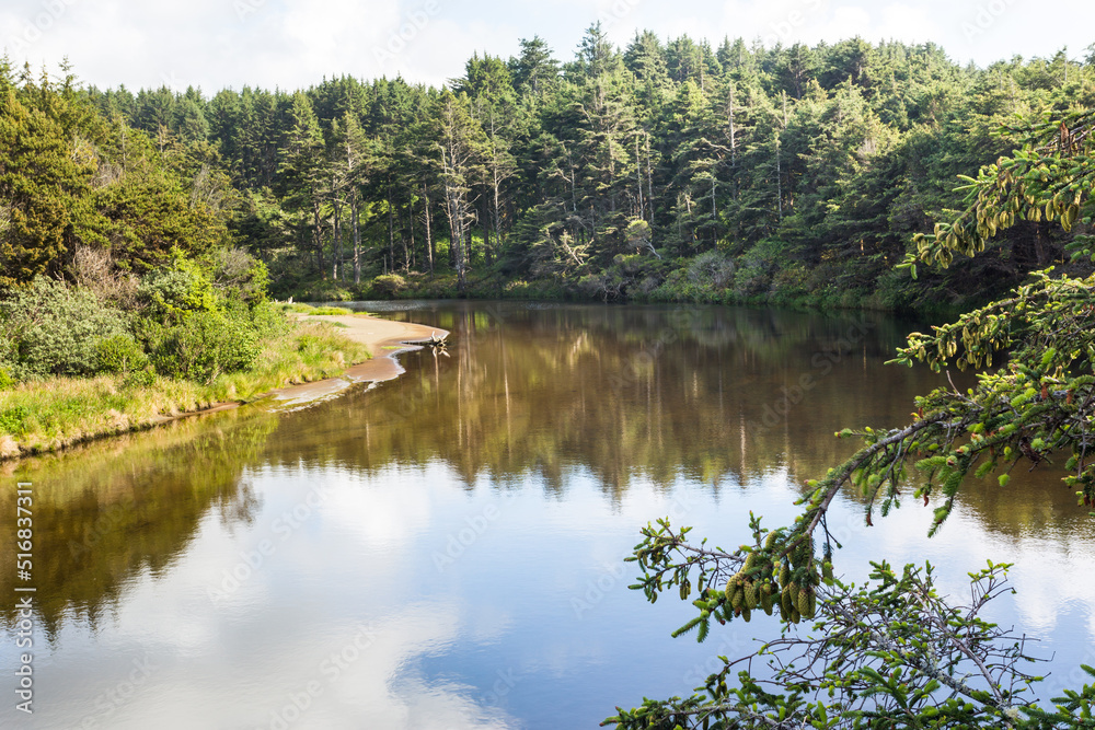 Small river with calm water reflects environment plants Small river with calm water reflects environment plants