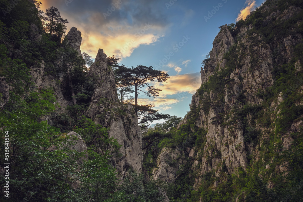 Tasnei Gorges, Romania